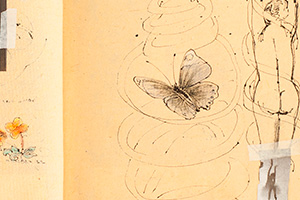 Mariposas