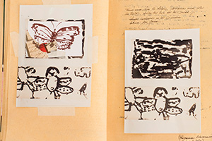 Mariposas