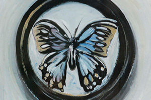 Mariposas